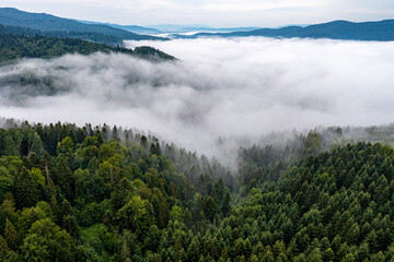 Beskid Sądecki, Muszyna, Malnik, poranne mgły, lato © Maciej G. Szling