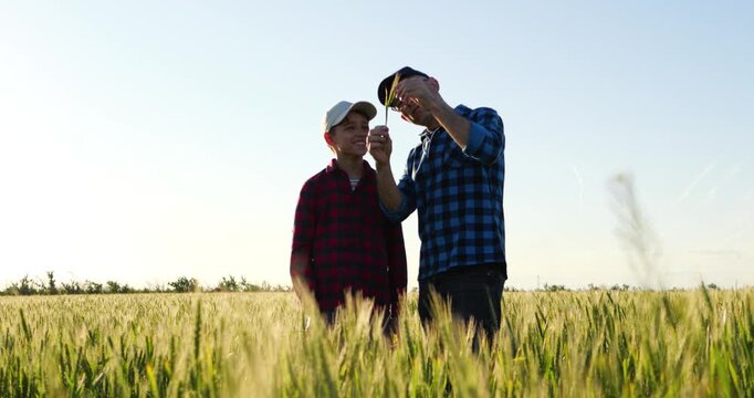 Farmer and son examine wheat crop together in green field, sharing knowledge and experience. Countryside scene highlights mentorship, agricultural education, family farming and generational continuity