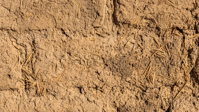 Rough mud brick wall with straw texture background