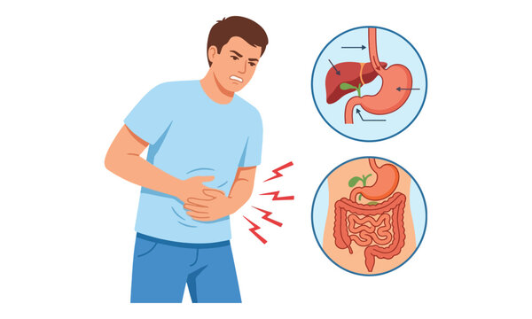 Man with stomach ache and digestive system diagram illustration