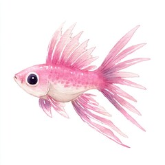 Fototapeta premium Watercolor Painting Of A Pretty Pink Exotic Tropical Fish With Spiky Fins On A White Background