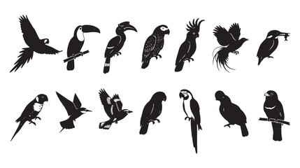 Tropical bird silhouettes set, 14 exotic parrot and toucan vector icons, black avian wildlife shapes for nature logos and design © Muhammad