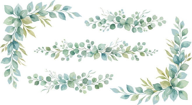Watercolour eucalyptus leaf borders. Botanical greenery frames for wedding invitations.