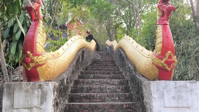 Buddhist Path in Forest in Laos