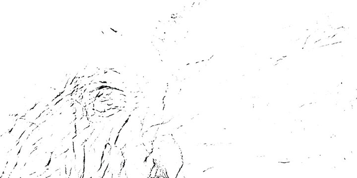 Minimalist black and white line art illustration of an animal eye with detailed grunge textured fur lines