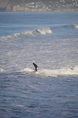 Fototapeta premium Pacific waves New Brighton beach in Christchurch, Aotearoa New Zealand