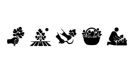 Obraz premium Vineyard Agriculture Icons, Grape Harvest Set, Farming Process Vector Graphics