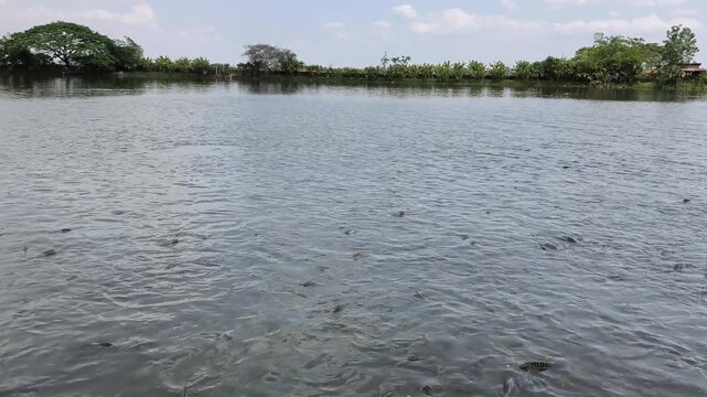 Small Lake in Vientiane Laos
