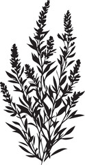 Obraz premium Black botanical silhouette of wild meadow herbs and grasses with silhouette botanical illustration isolated decoration minimalist stylized contrast