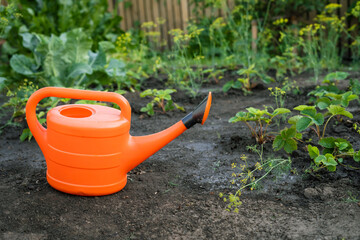 Orange watering can placed in home vegetable garden for irrigation   © Maria A