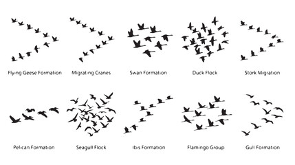 Migrating birds silhouettes set, 10 flying bird formations and flocks, black geese and crane icons, wild swan and duck migration vector elements © Sabir