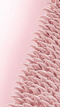 Scanning Electron Microscope View of Compound Insect Eye