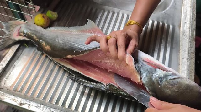 Preparing fish from Mekong River