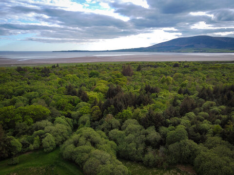 Aerial view of Solway Firth near Caerlaverock, South West Scotland