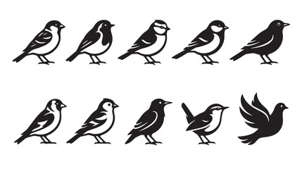 Minimalist bird icons set, black silhouette songbird illustrations, collection of 10 garden bird vector graphics for nature branding and logo design © Sabir