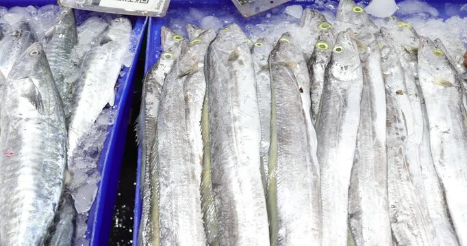 Fresh various sea fish sell in traditional maket food industry Bangkok Thailand