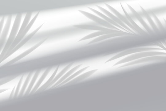 Window Shadow Light Effect, Reflection Line Isolated Background Leaf Shadows Pattern,Abstract Texture Design, Summer Nature Art Illustration,Space Wall Interior,Abstract Backgrounds Sunlight