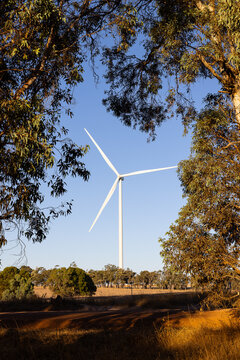 Wind turbine framed by golden countryside trees