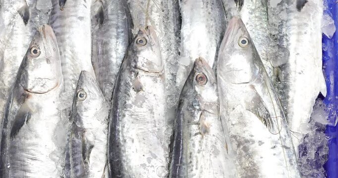 Fresh various sea fish sell in traditional maket food industry Bangkok Thailand