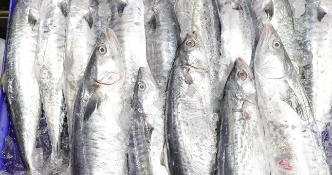 Fresh various sea fish sell in traditional maket food industry Bangkok Thailand