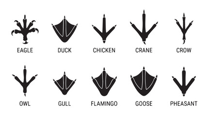 Obraz premium Bird footprint silhouettes set, 10 avian paw print icons, black eagle duck chicken crane crow owl gull flamingo goose and pheasant tracks vector