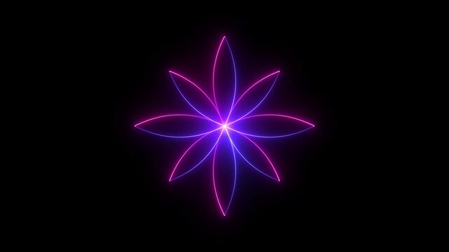 Pink and blue glowing geometric flower mandala animation neon abstract light