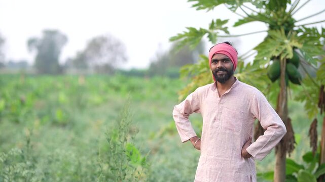 Young indian farmer standing at agriculture field 