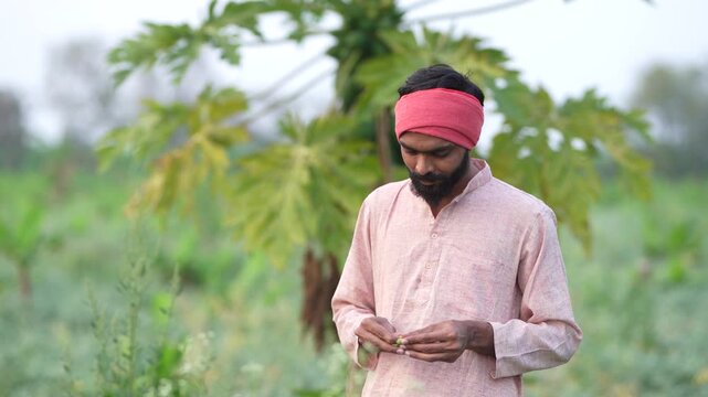 Young indian farmer standing at agriculture field 