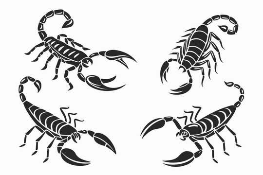 Four scorpions with curved tails isolated illustration