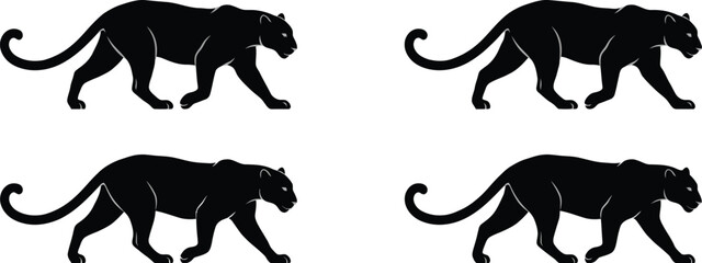 panther silhouette and wild big cat vector design set © MD GAHANGIR