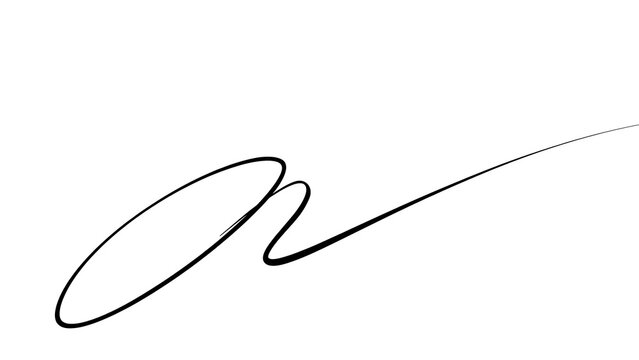 Elegant handwritten signature on white background.