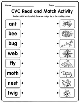 Phonics and literacy worksheet for kids featuring cvc read and match activity with words like ant, bee, bug, web, fly, moth, nest