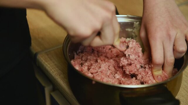 Macro shot of blending raw minced meat filling