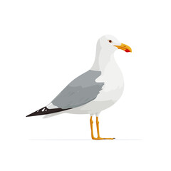 Fototapeta premium Flat-design 2D vector artwork of a Gull, styled as an icon and isolated against white background
