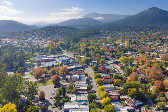 Aerial view over houses in a regional town full of colourful Autumn trees