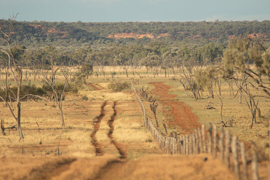 Two wheel tracks on one side of a fence, and a graded road on the other side of the fence
