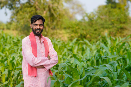 Indian farmer standing confidently at corn agriculture field
