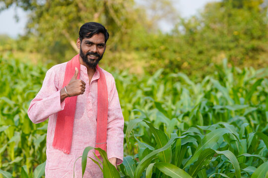 Indian farmer standing confidently at corn agriculture field