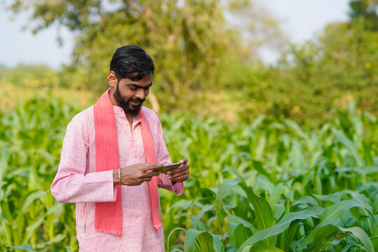 Indian farmer using smartphone at corn agriculture field