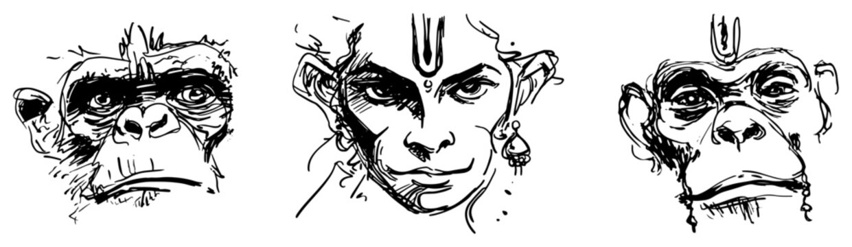 Hanuman monkey deity and primate portraits in expressive hand drawn ink sketch style