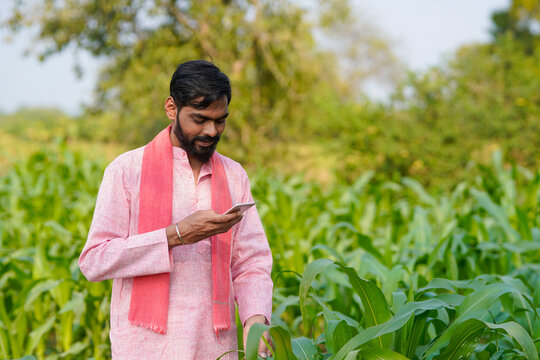 Indian farmer using smartphone at corn agriculture field