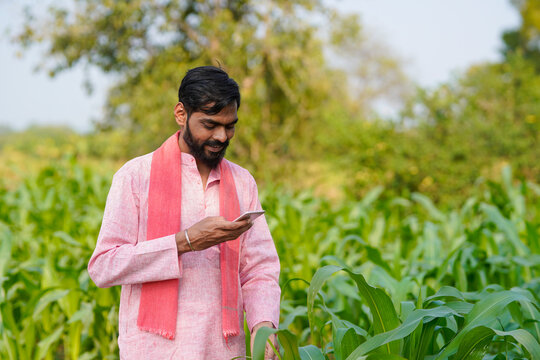 Indian farmer using smartphone at corn agriculture field