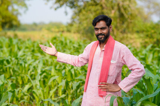 Indian farmer standing confidently at corn agriculture field