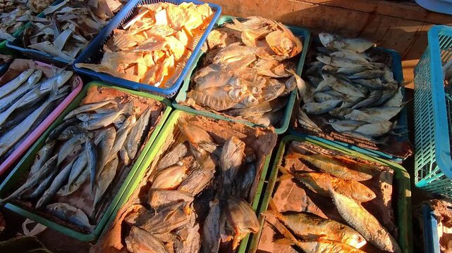 Hyperlapse Video of Hands selecting rows of dried fish in market trays. Hand reaches toward selection, suggests shopping or choice. Dried fish show different shapes, sizes, and colors. Fast motion in 