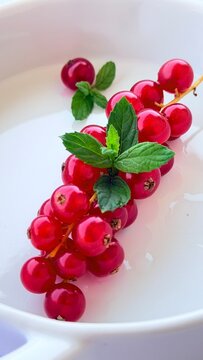 ribes rosso 