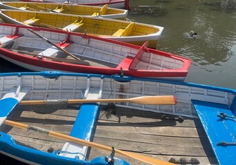 Colourful rowing boats moored on a boating lake. © Philip