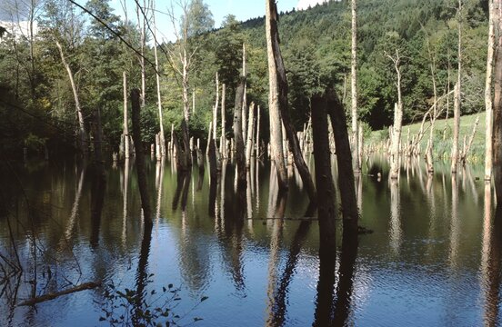 Lochborner Lake in Spessart Germay