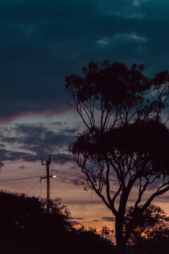 Silhouetted trees and glowing streetlight beneath dramatic sunset sky