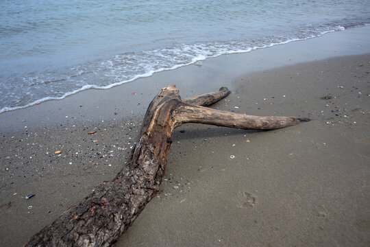 Grande tronco levigato dal mare posato sulla sabbia chiara in una spiaggia tranquilla con il mare sullo sfondo e un&rsquo;atmosfera naturale, silenziosa e minimalista