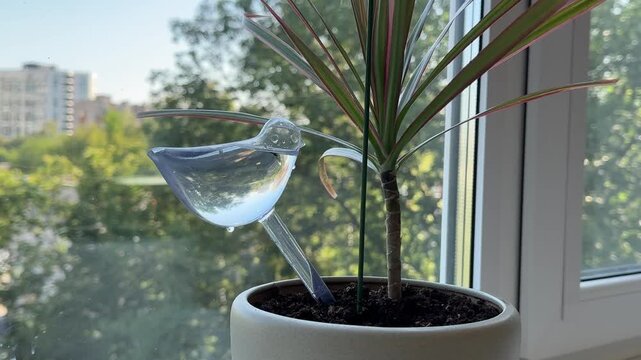 A decorative bird shaped watering globe slowly releases water into the soil, helping keep indoor plants hydrated between regular watering. A practical and elegant accessory for houseplant care.